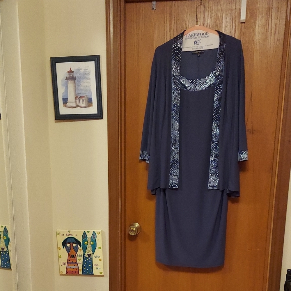 R&M Richards Navy Dress with Embroidered Detail